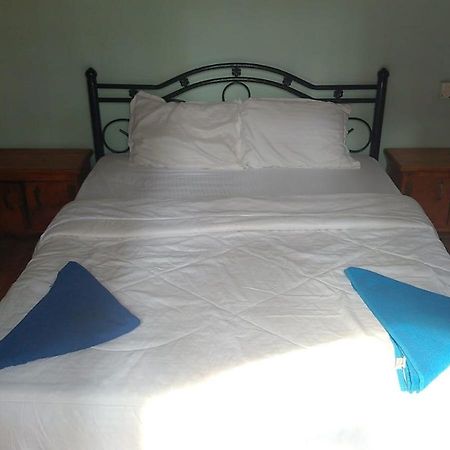 Csf Garden Huts Otel Palolem Dış mekan fotoğraf